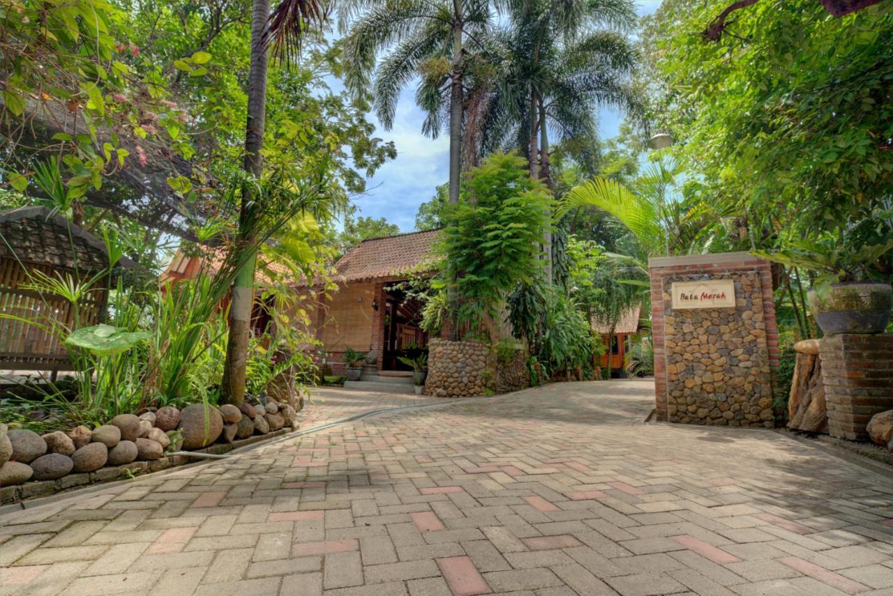 Bata Merah Homestay Banyuwangi  Ngoại thất bức ảnh