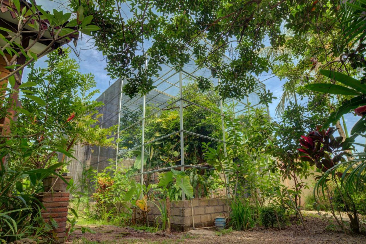 Bata Merah Homestay Banyuwangi  Ngoại thất bức ảnh