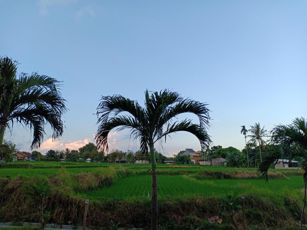 Bata Merah Homestay Banyuwangi  Ngoại thất bức ảnh