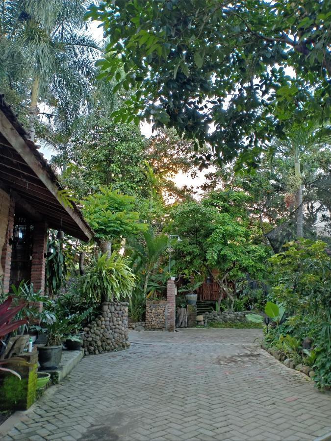Bata Merah Homestay Banyuwangi  Ngoại thất bức ảnh