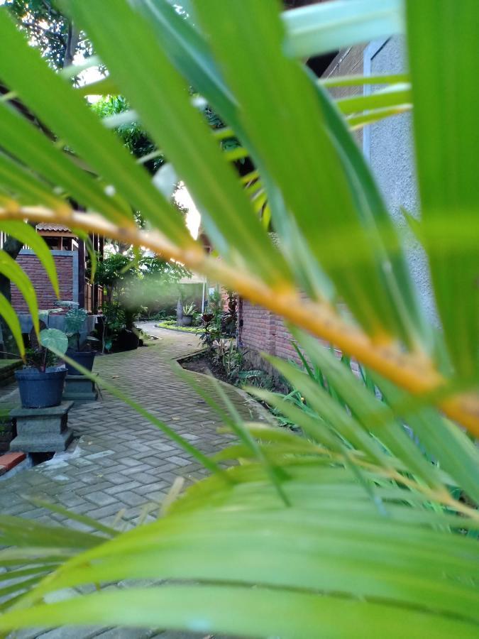 Bata Merah Homestay Banyuwangi  Ngoại thất bức ảnh