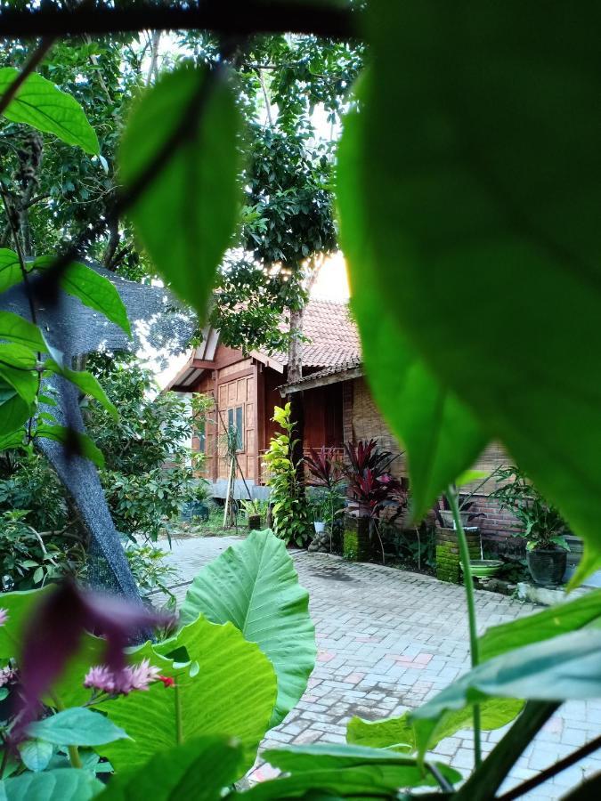 Bata Merah Homestay Banyuwangi  Ngoại thất bức ảnh