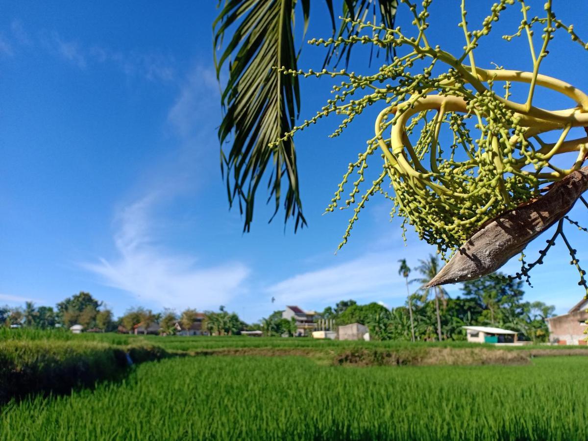 Bata Merah Homestay Banyuwangi  Ngoại thất bức ảnh