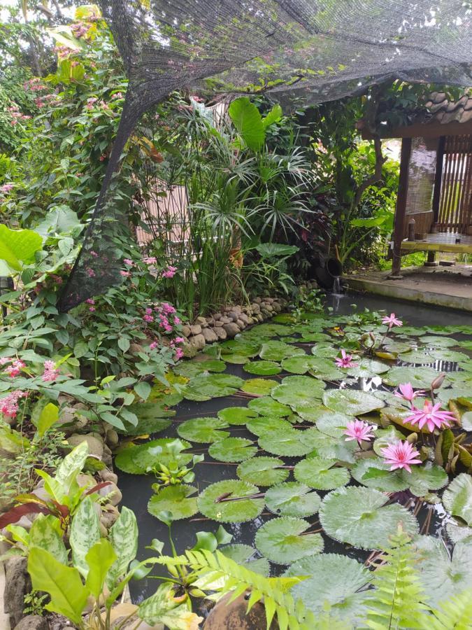 Bata Merah Homestay Banyuwangi  Ngoại thất bức ảnh