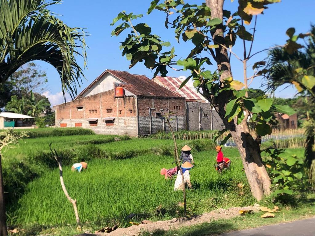 Bata Merah Homestay Banyuwangi  Ngoại thất bức ảnh